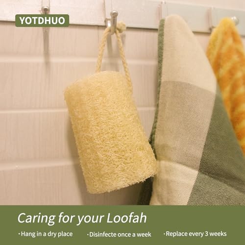 Natural Loofah Sponge Exfoliating Body Scrubber(6" Economical 4Pack),Organic Luffa for Women and Men in Shower - color: 4pack 6"