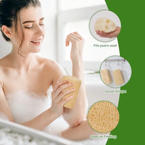 Natural Loofah Sponge 4 Pack, Organic Luffa Sponges Body Scrubber, Exfoliating Loofah Scrubber for Shower, Eco-Friendly Biodegradable Bath Loofahs for Men & Women - size: 1 Count (Pack of 4)