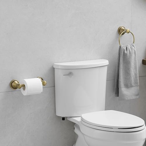 RUMOSE Toilet Paper Holder and Hand Towel Ring Antique Brass Wall Mount Bathroom Hardware Accessories 2 PCS Set Flexible Pivoting Toilet Tissue Roll Holder and Towel Hanger, Stainless Steel - color: Antique Brass