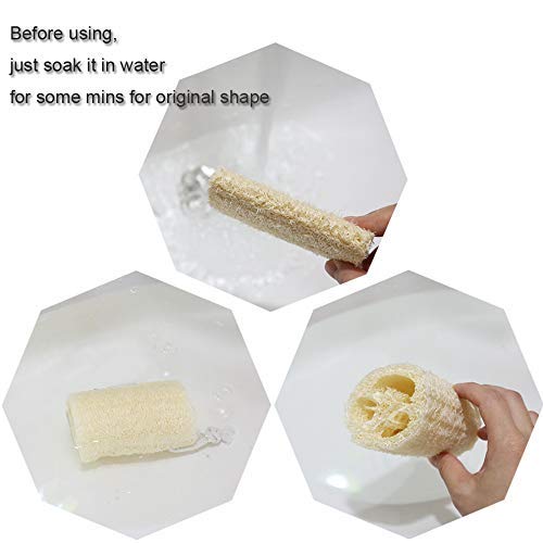 Loofah Body Scrubber Sponge 6-Pack - Natural Exfoliating Sponges for Bath & Shower, Biodegradable Luffa for Smooth & Glowing Skin, Spa Gift Set, Dye-Free, Vegan - size: 1 Count (Pack of 6)