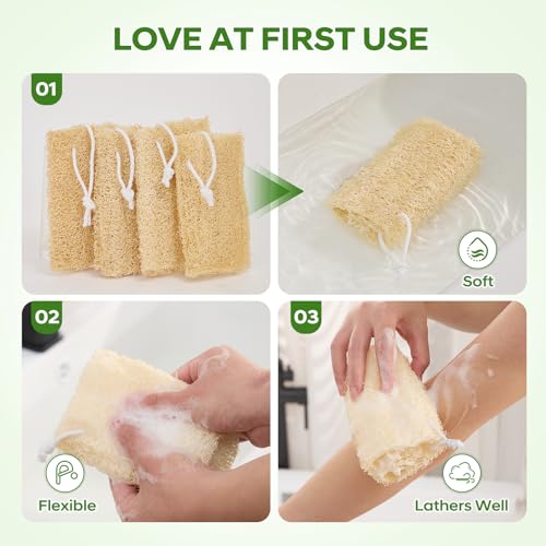 Natural Loofah Sponge 4 Pack, Organic Luffa Sponges Body Scrubber, Exfoliating Loofah Scrubber for Shower, Eco-Friendly Biodegradable Bath Loofahs for Men & Women - size: 1 Count (Pack of 4)