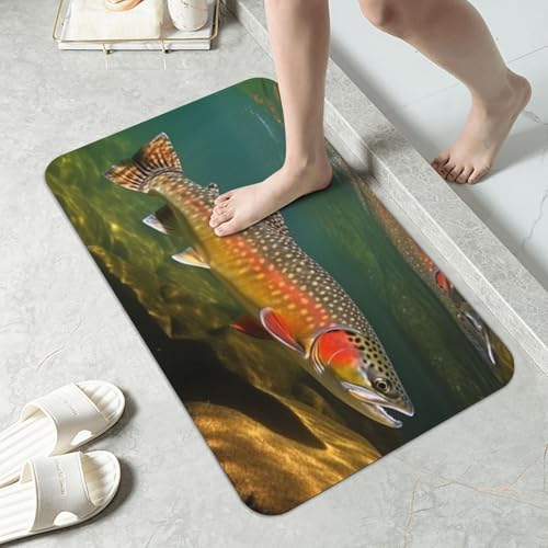 Stone Bath Mats for Bathroom Diatomaceous Earth Bath Mat Super Absorbent Floor Mat Brook Trout Fly Fishing Stone Drying Mats Quick Drying Diatomite Shower Mat for Bathtub Pad 19.7x31.5in - color: Brook Trout Fly Fishing, size: 1'8" x 2'8" (Rectangular)