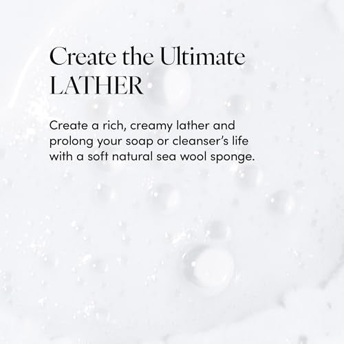 LATHER - Natural Sea Wool Sponge, 4-5" - Organic Exfoliating Body Scrubber - Soft, Gentle Cleansing - Hypoallergenic - All Skin Types - Florida Natural Loofah Sponge - Cruelty Free - Beauty & Skincare - style: Small