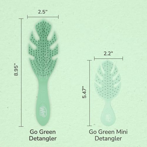 Wet Brush Go Green Hair Detangler Brush, Green - Detangling Hair Brush - Ultra-Soft IntelliFlex Bristles Glide Through Tangles & Gently Loosens Knots While Minimizing Pain, Split Ends & Breakage - color: Green, size: 1 Count (Pack of 1)