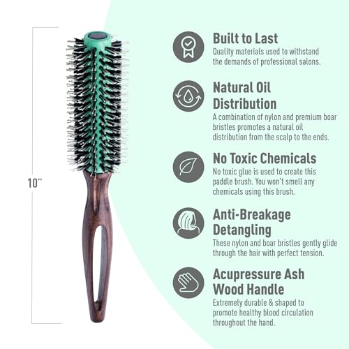 MINT Eco-Friendly Boar Bristle Round Brush for Blow Drying | Durable Blowout Styling for All Hair Types | Ceramic Round Brush with Hand-Crafted Wooden Handle (20 mm) - size: 20 mm Round Brush