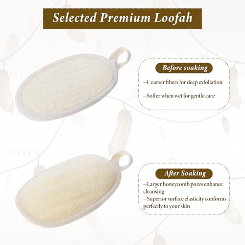 Natural Loofah Sponge Exfoliating Body Scrubber Pads (4-Pack) | Plant-Based Luffa for Men & Women, Bath Shower Scrubber for Face and Body Skin Care
