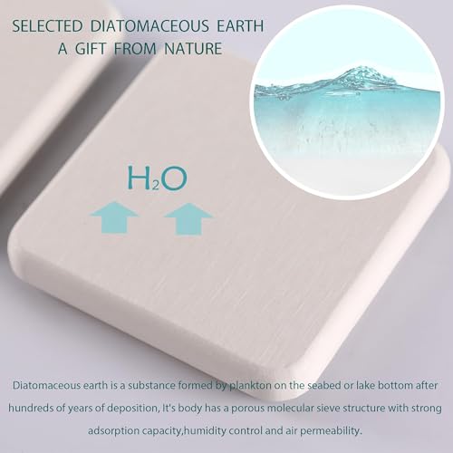 NiuYichee Set of 4 Diatomite Coasters, Quick-Drying Water Absorbing Stone Tray Bathroom & Kitchen Counter