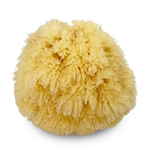 Real Natural Sea Sponges Multipack - 5pc Spa Gift Set in Premium Bag, Kind on Skin, for Bath Shower Facial Cleansing, Pamper Moms Brides Girlfriends & Teens (5 Pack Standard Packaging) - style: 5 Piece set in bag