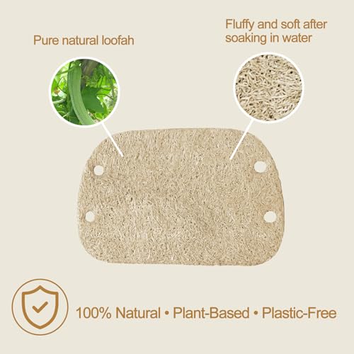Natural Loofah Sponge with Handle, 5-Piece Replaceable Eco Sponges for Cleaning, Non-Scratch Scrubber for Dishwashing Cookware Pans, Kitchen Eco-Friendly Tools (10)