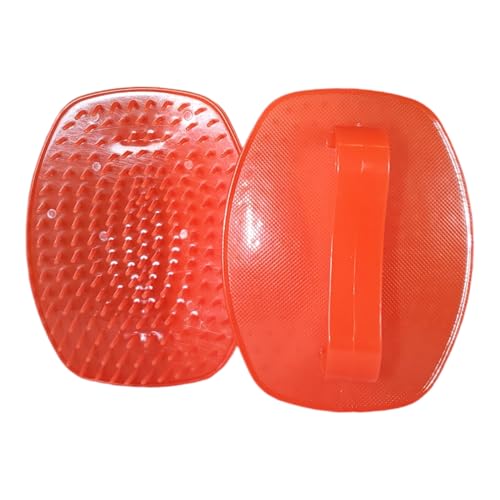 Detangler Hair Brush 2 Pack for Wet & Dry Hair (4×3 in) - Firm Bristle Shampoo Scalp Massage Brush for Shower - Pain-Free Detangling for Women, Men, Kids (Red) - color: Red