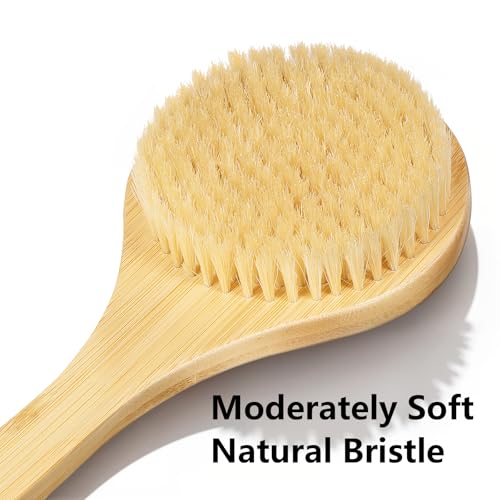 Back Scrubber Brush for Shower, 22" Curved Long Bamboo Handle Shower Brush, Antiskid Body Bath Brushes for Back Dry/Wet Brushing, Moderately Soft Natural Bristle Body Brush for Showering (Beige)