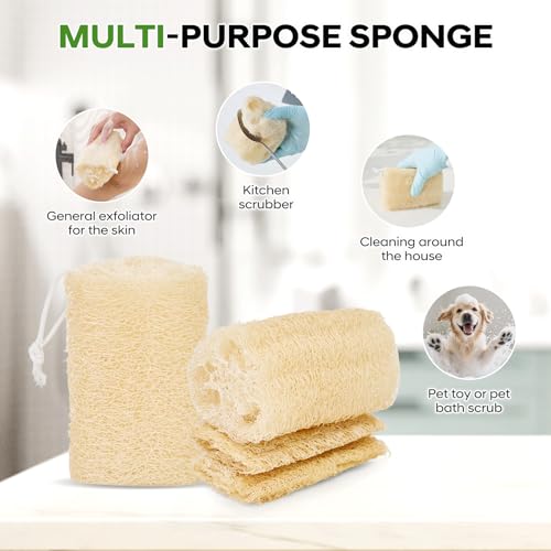 Natural Loofah Sponge 4 Pack, Organic Luffa Sponges Body Scrubber, Exfoliating Loofah Scrubber for Shower, Eco-Friendly Biodegradable Bath Loofahs for Men & Women - size: 1 Count (Pack of 4)