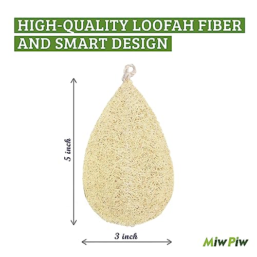 Natural Loofah Dish Sponge Pack 3 Vegetable Scrubber for Kitchen -100% Biodegradable Compostable Dishwashing Scouring Pad Zero Waste Plastic Free Eco Friendly Sustainable - size: Pack 3