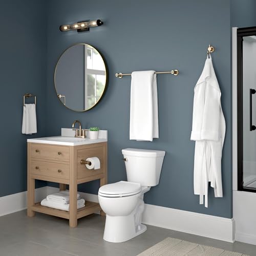 Delta Pivoting Toilet Paper Holder | Champagne Bronze | Wall Mount | Nicoli Bathroom Accessories - color: Champagne Bronze