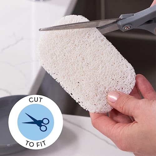 S&T INC. Bar Soap Holder for Kitchen, Bathroom, and Soap Dish, 6 Pack, White, 2.9 inches by 4.4 inches - color: White, size: 6 Pack