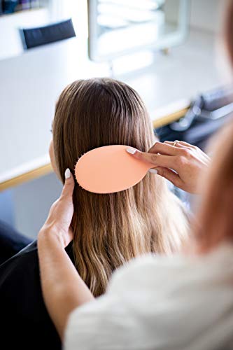 Framar Detangling Brush for Curly Hair – Hair Brushes for Women, Wet Detangler Hair Brush, Wet Hairbrush For Women, Hairbrushes, Hair Brush Detangler – Reduces Hair Breakage Champagne - color: Champagne