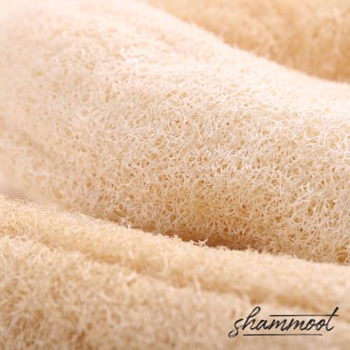 Natural Loofah Exfoliating Body Scrubber – Jordanian Natural Loofah Sponge Exfoliates Face & Body for Healthier Skin – 2-Sided Lufas for Men & Women – Body Wash Scrubber (Pack of 1) - size: 1 Count (Pack of 1)