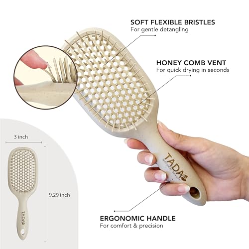 TADA Natural Beauty Hair Brush Detangler for Curly, Thick, Wavy, and Thin Hair - Ventilation Holes for Quick Drying and Styling, Detangler Brush for Women, Men, Kids (4 Colors) (Beige) - color: Beige