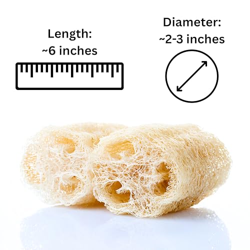 Birdee 100% Plant-Based Loofah Body Wash Sponge - Natural Luffa for Exfoliating and Radiant Skin, Hand-crafted in Vietnam, Pack of 4