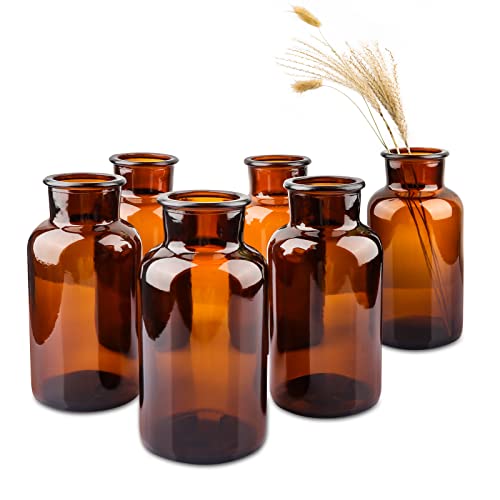 PINIWON Set of 6 Amber Bud Vases, Small Glass Vases, Vintage Medicine Bottles Apothecary Jars with Brush, Flower Vases for Home Decor, Wedding Centerpieces - color: Amber-6pack