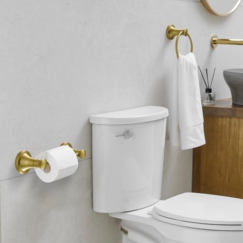 RUMOSE Toilet Paper Holder and Hand Towel Ring Brushed Gold Wall Mount Bathroom Hardware Accessories 2 PCS Set Flexible Pivoting Toilet Tissue Roll Holder and Towel Hanger, Stainless Steel - color: Brushed Gold