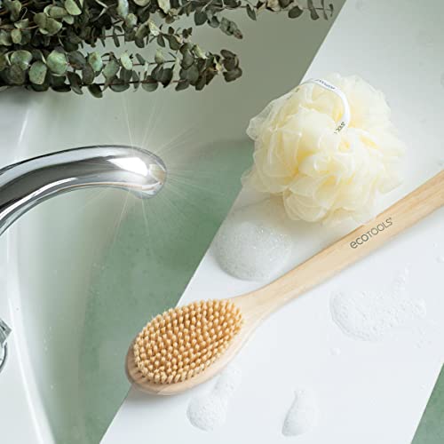 EcoTools Bristle Bath Brush, Shower Body Brush with Gentle, Stiff Bristles, Long Bamboo Handle, Gently Exfoliating for Back & Body, Stimulates Blood Circulation, Eco-Friendly, 1 Count (Pack of 2) - size: 1 Count (Pack of 2)