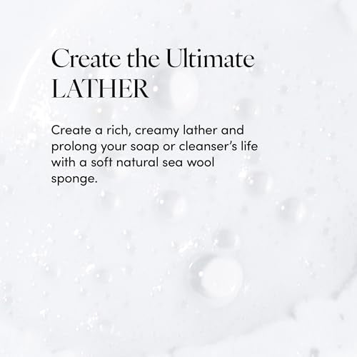 LATHER - Natural Sea Wool Sponge, 5-6" - Organic Exfoliating Body Scrubber - Soft, Gentle Cleansing - Hypoallergenic - All Skin Types - Florida Natural Loofah Sponge - Cruelty Free - Beauty & Skincare - style: Large