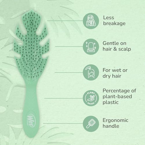 Wet Brush Go Green Hair Detangler Brush, Green - Detangling Hair Brush - Ultra-Soft IntelliFlex Bristles Glide Through Tangles & Gently Loosens Knots While Minimizing Pain, Split Ends & Breakage - color: Green, size: 1 Count (Pack of 1)