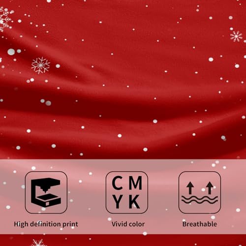 Christmas Snowflakes Hand Towels Set of 2 Winter Red Christmas Bath Towels for Bathroom Soft Absorbent Xmas Towels Christmas Washcloths Kitchen Towel for Bathroom Hotel Gym Spa Yoga Sport 14”x28” - color: Christmas Snowflakes