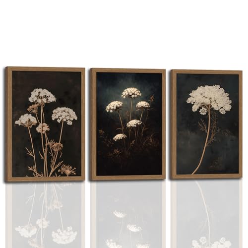 3Pcs Framed Moody Botanical Black Dark Flower Canvas Wall Art Set Elegant White Queen Anne’s Lace Flower Prints, Botanical Painting for Living Room, Bedroom, Office, Home Decor 16x24in - color: Elegant White Queen Anne's Lace Flower, size: 16x24 Inches