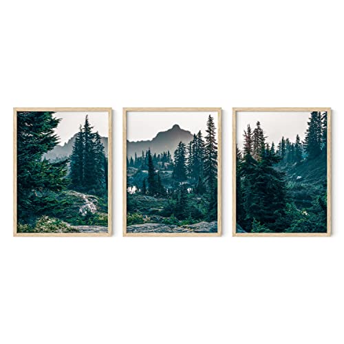 HAUS AND HUES Forest Photography - Set of 3 Mountain Pictures, Nature Art for Living Room (Beige Frame, 12x16) - color: Forest Landscape, size: 12"L x 16"W, style: Beige Framed