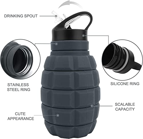 QiCheng&LYS 19.5oz Collapsible Travel Water Bottle, Reuseable BPA Free Silicone Foldable Water Bottles for Travel Gym Camping Hiking, Portable Leak Proof Sports Water Bottle with Carabiner(Gray) - color: Gray