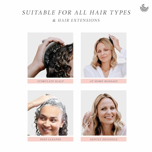 MANTA Pulse Electric Scalp Massage Brush – Wet Exfoliating Scalp Massager, Shampoo Brush for Hair Growth with Shower Holder, Grey