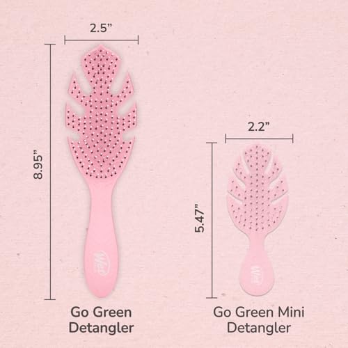 Wet Brush Go Green Hair Detangler Brush, Pink - Detangling Hair Brush - Ultra-Soft IntelliFlex Bristles Glide Through Tangles & Gently Loosens Knots While Minimizing Pain, Split Ends & Breakage - color: Pink, size: 1 Count (Pack of 1)