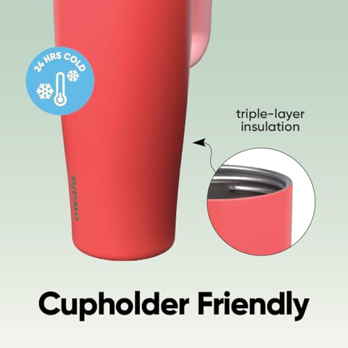 Owala FreeSip Tumbler Insulated Stainless Steel Water Bottle with Built-in Straw and Side Handle, For Travel, Work, School, and Sports, 40oz, BPA Free, Leak Proof, Strawberry Fields - color: Strawberry Fields, size: 40 Ounces