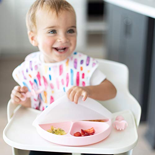 Bumkins Toddler and Baby Suction Plate, Divided Grip Dish Cover for Babies and Kids, Baby Led Weaning, Feeding Supplies, Store and Label Leftovers, Food Prep Portions, Fits Bumkins Dish and Plate - color: A1 Sm GD Lid
