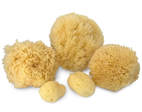 Real Natural Sea Sponges Multipack - 5pc Spa Gift Set in Premium Bag, Kind on Skin, for Bath Shower Facial Cleansing, Pamper Moms Brides Girlfriends & Teens (5 Pack Standard Packaging) - style: 5 Piece set in bag