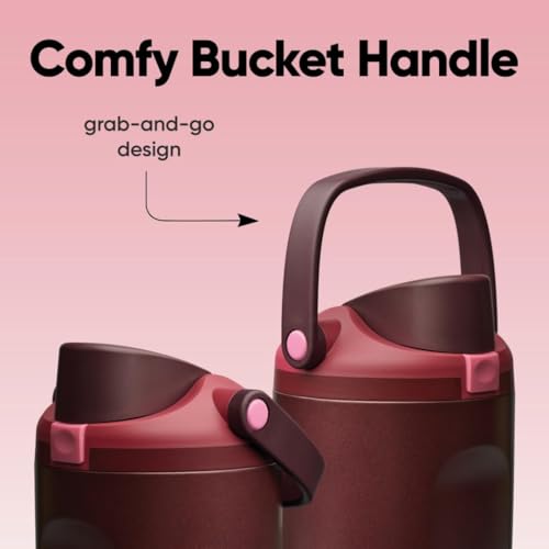 Owala FreeSip Sway Insulated Stainless Steel Water Bottle with Two-Way Spout, Built-In Straw and Bucket Handle, Made for Travel, School, and Sports, 40oz, BPA Free, Leak Proof, Black Cherry - color: Black Cherry, size: 40 Ounces