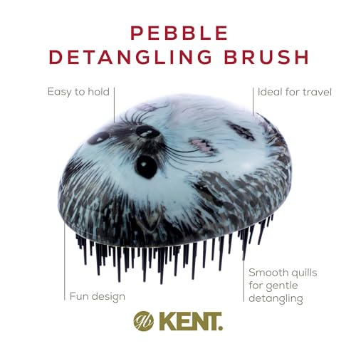 Kent PHOG Pebble Scalp Massager Shampoo Brush and Travel Size Detangling Brush - Scalp Scrubber for Dandruff and Kids' Hair Detangler (Hedgehog) - color: Hedgehog