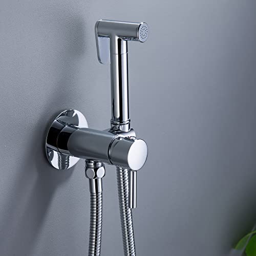 SHAMANDA Warm Water Bidet Sprayer for Toilet with Hot and Cold Brass Rough-in Valve, Stainless Steel Round Handheld Bidet Attachment Set for Feminine, Pets and Baby Diaper Wash, Polished Chrome BDS09 - color: Chrome, style: Hot & Cold Water Modes-Round