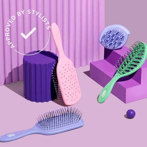 Wet Brush Go Green Hair Detangler Brush, Green - Detangling Hair Brush - Ultra-Soft IntelliFlex Bristles Glide Through Tangles & Gently Loosens Knots While Minimizing Pain, Split Ends & Breakage - color: Green, size: 1 Count (Pack of 1)