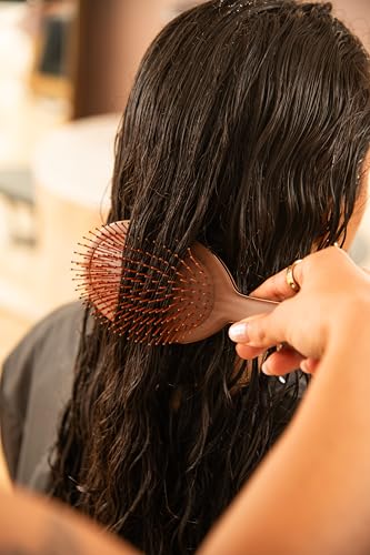 FRAMAR Chocolate Hair Brush Detangler – Wet Hair Brushes For Women, Womens Hair Brush, Hair Accessories, Hairbrush For Women, Cepillos Para Cabello, Reduces Breakage – Detangle Brush - color: Chocolate