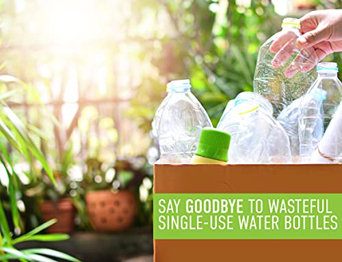 REDUCE WaterWeek Refillable Water Bottles, 14 oz - Includes 5 WaterWeek Leak Proof Tritan Reusable Water Bottles - Includes Fridge Tray - Berry Fun - color: Berry Fun, size: 14 Ounces