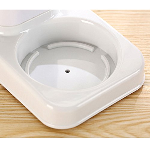 Eslite Bathroom Toothbrush Toothpaste Stand Organizer Plastic Storage Rack Set - color: Blue+pink