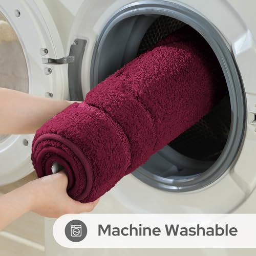 HOMEIDEAS Bathroom Rugs Sets 2 Piece, Extra Soft and Absorbent Microfiber Plush Bath Mat with Non Slip Backing(Burgundy Red) - color: Burgundy Red