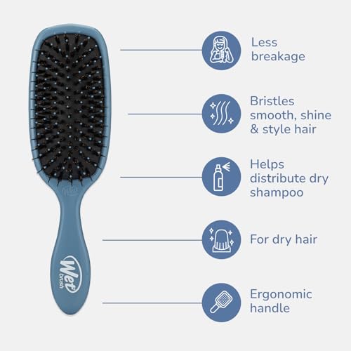 Wet Brush Shine Enhancer Hair Brush, Elemental Blue, Ultra-Soft IntelliFlex Bristles, Natural Boar Bristles for All Hair Types, For Women and Men, Wet and Dry, All Ages - color: Elemental Blue, size: 1 Count (Pack of 1)