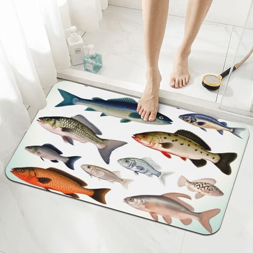 Stone Bath Mats for Bathroom Diatomaceous Earth Bath Mat Super Absorbent Floor Mat Different Fish Stone Drying Mats Quick Drying Diatomite Shower Mat for Bathtub Pad 15.7x23.6in - color: Different Fish