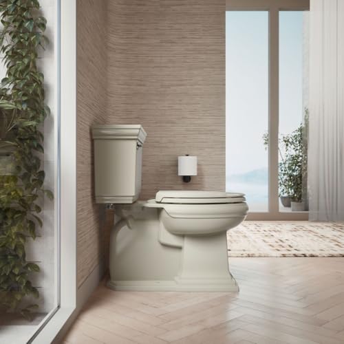 KOHLER CACHET® Nightlight Soft Close Toilet Seat Elongated, ReadyLatch®, Grip-Tight Hardware, SANDBAR (Pack of 2) - color: Sandbar, size: Elongated (Pack of 2)