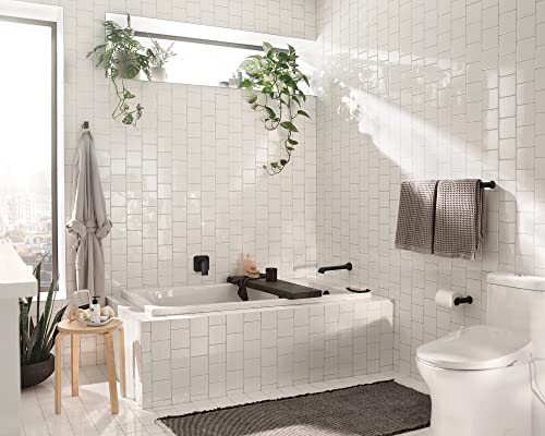 Moen Genta LX Modern Wall Mount Pivoting Toilet Paper Holder for Bathroom, Matte Black, BH3808BL - color: Matte Black