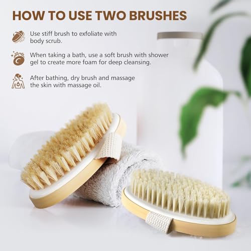 POPCHOSE Dry Brushing Body Brush, Natural Bristle Dry Skin Exfoliating Brush Body Scrub for Flawless Skin, Cellulite Treatment, Lymphatic Drainage and Blood Circulation Improvement - size: 2 Count (PP+Boar Bristles)